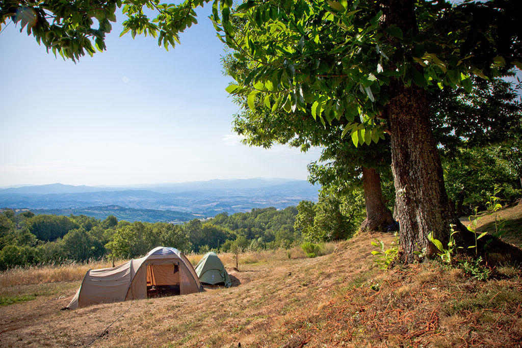 Lucherino Toscana - Cinigiano visuel 2/4 Lucherino Toscana - Cinigiano visuel 2/4
