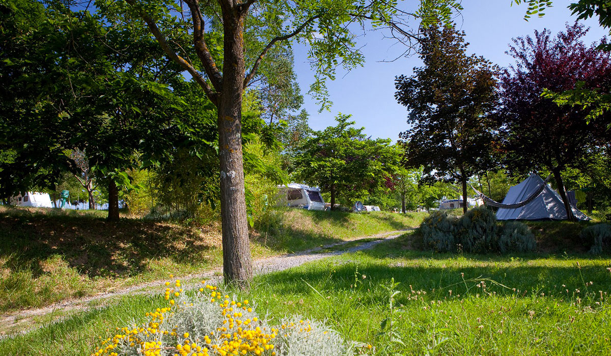 Ludo Rodano-Alpi - Lussas visuel 486/1059