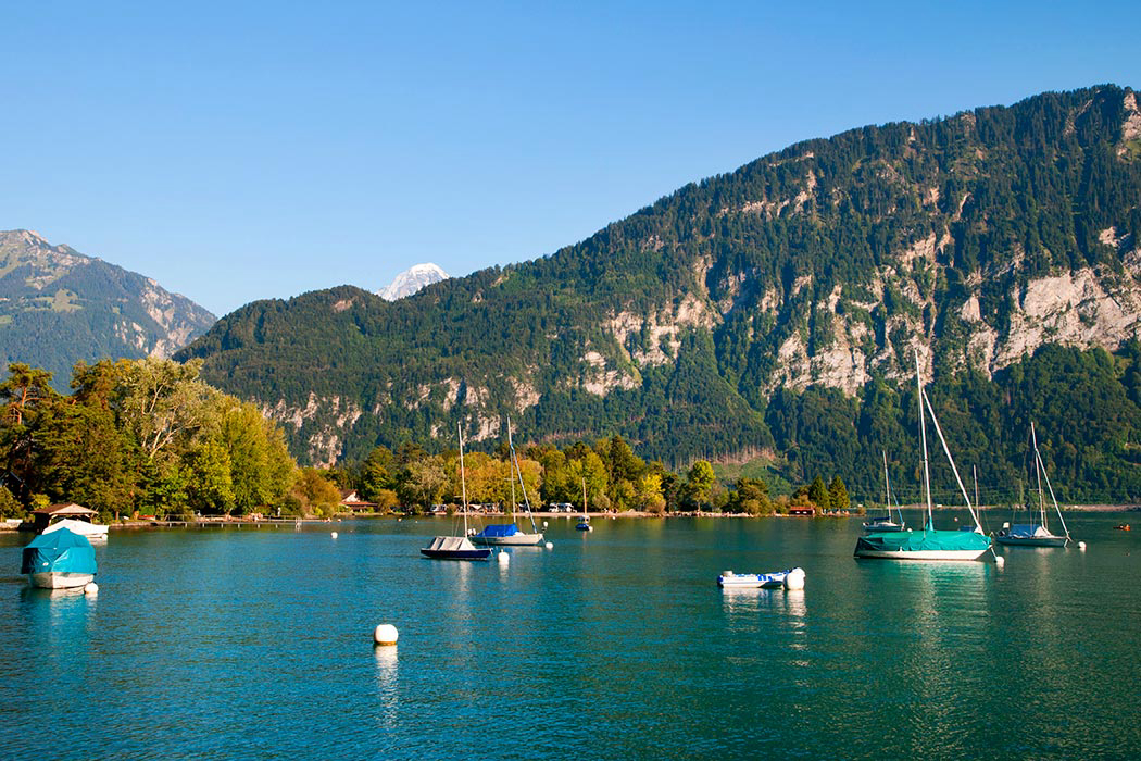 Manor Farm Espace Mittelland - Interlaken visuel 3/5