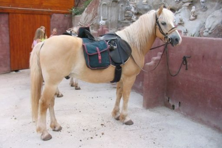 Manso Coguleras Catalogna - Sant Jaume de Llierca visuel 4/7