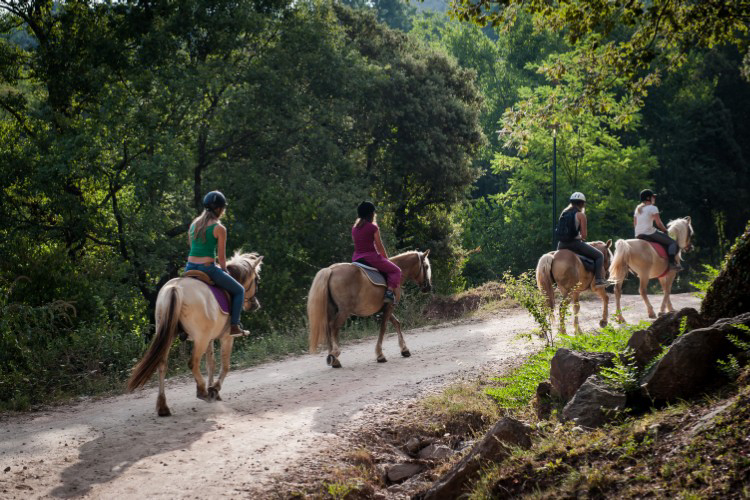 Manso Coguleras Catalogna - Sant Jaume de Llierca visuel 3/7