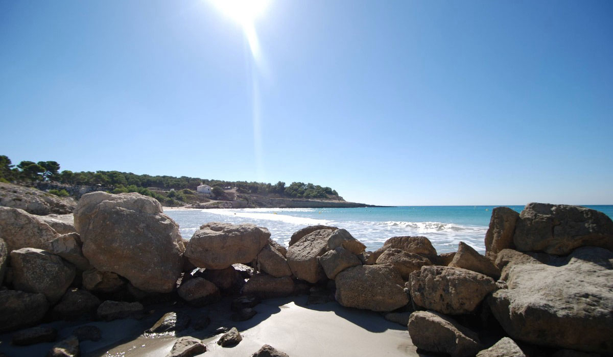 Marius Provenza-Alpi-Costa Azzurra - Martigues visuel 2/10 Marius Provenza-Alpi-Costa Azzurra - Martigues visuel 2/10