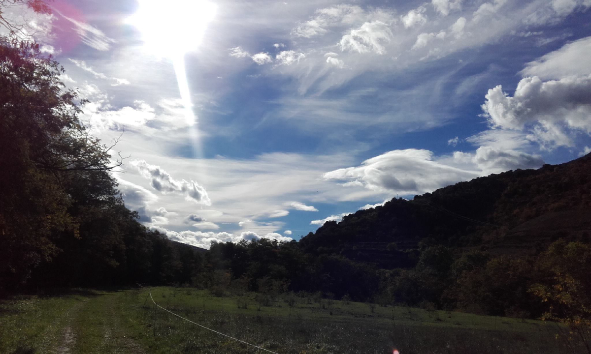 Mas De Lastourg Linguadoca-Rossiglione - Serdinya visuel 3/5