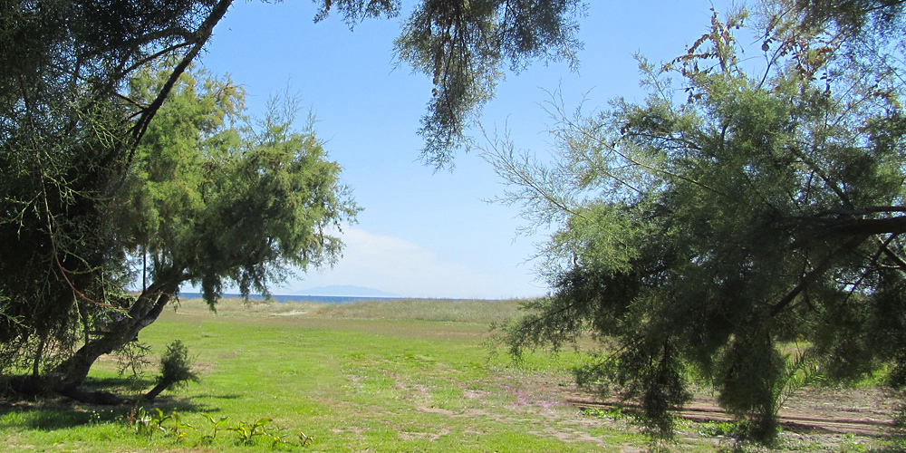 Miami Plage Corsica - Poggio-Mezzana visuel 2/9