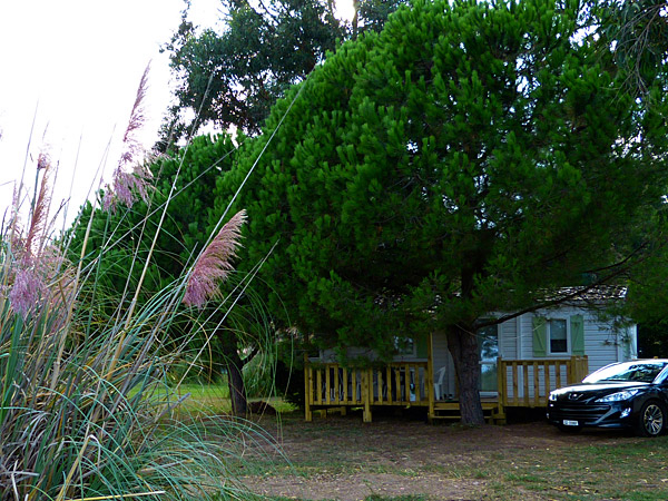 Miami Plage Corsica - Poggio-Mezzana visuel 9/9