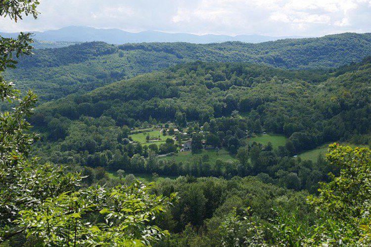 Millefleurs Midi-Pirenei - Gudas visuel 2/2 Millefleurs Midi-Pirenei - Gudas visuel 2/2