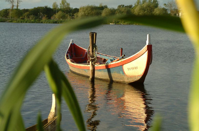 Mira Centro - Praia de Mira visuel 7/9