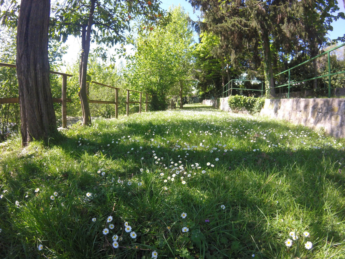 Miraflores Liguria - Rapallo visuel 3/3