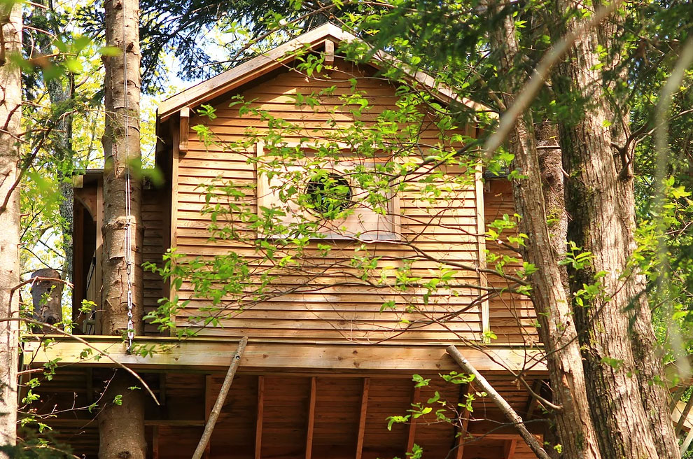 Mont Ôz'Arbres Linguadoca-Rossiglione - Prats-de-Mollo-la-Preste visuel 1/11