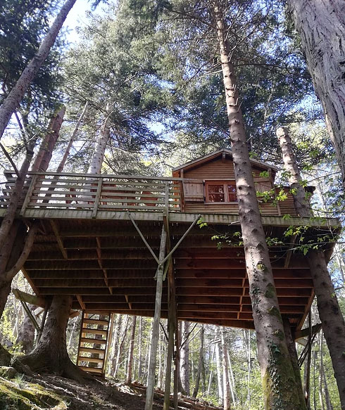 Mont Ôz'Arbres Linguadoca-Rossiglione - Prats-de-Mollo-la-Preste visuel 7/11