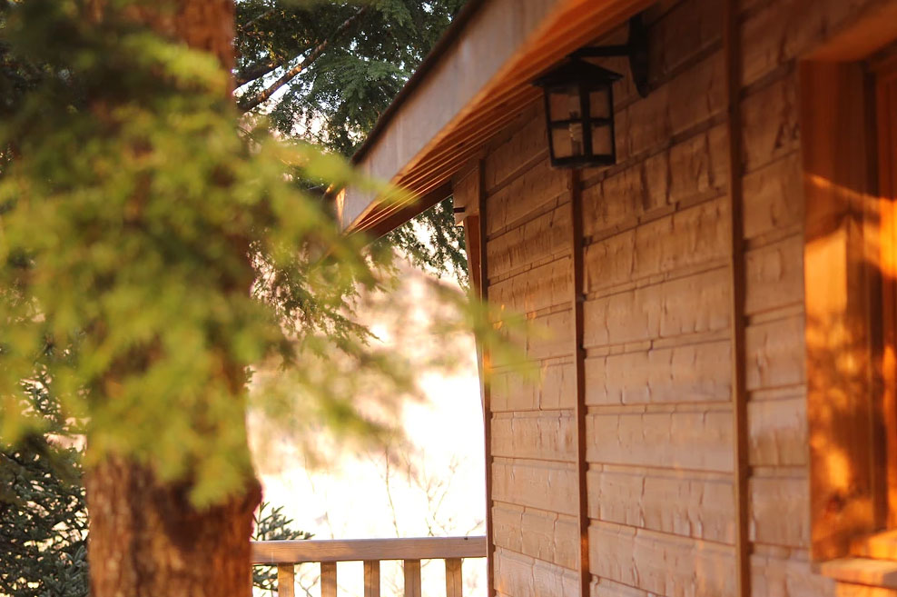 Mont Ôz'Arbres Linguadoca-Rossiglione - Prats-de-Mollo-la-Preste visuel 11/11