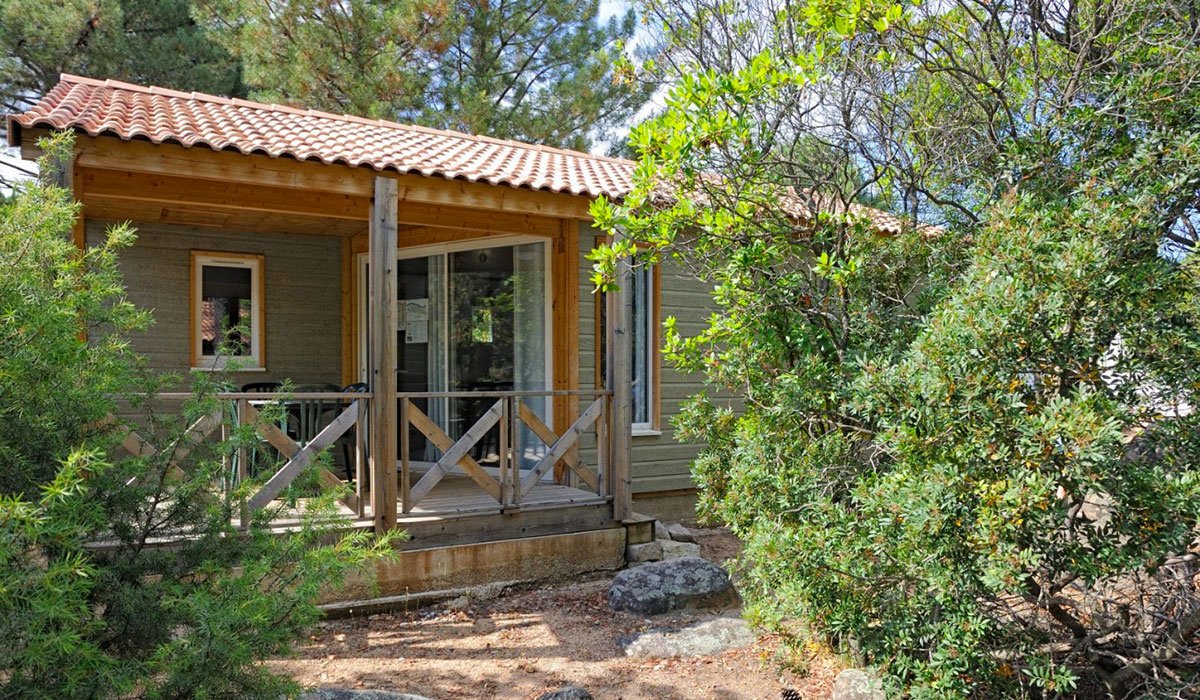 Mulinacciu Corsica - Lecci visuel 3/3