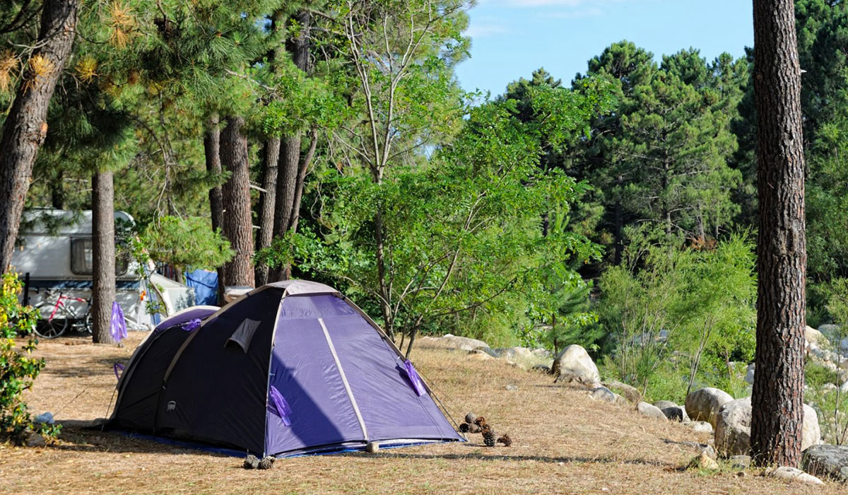 Mulinacciu Corsica - Lecci visuel 2/3