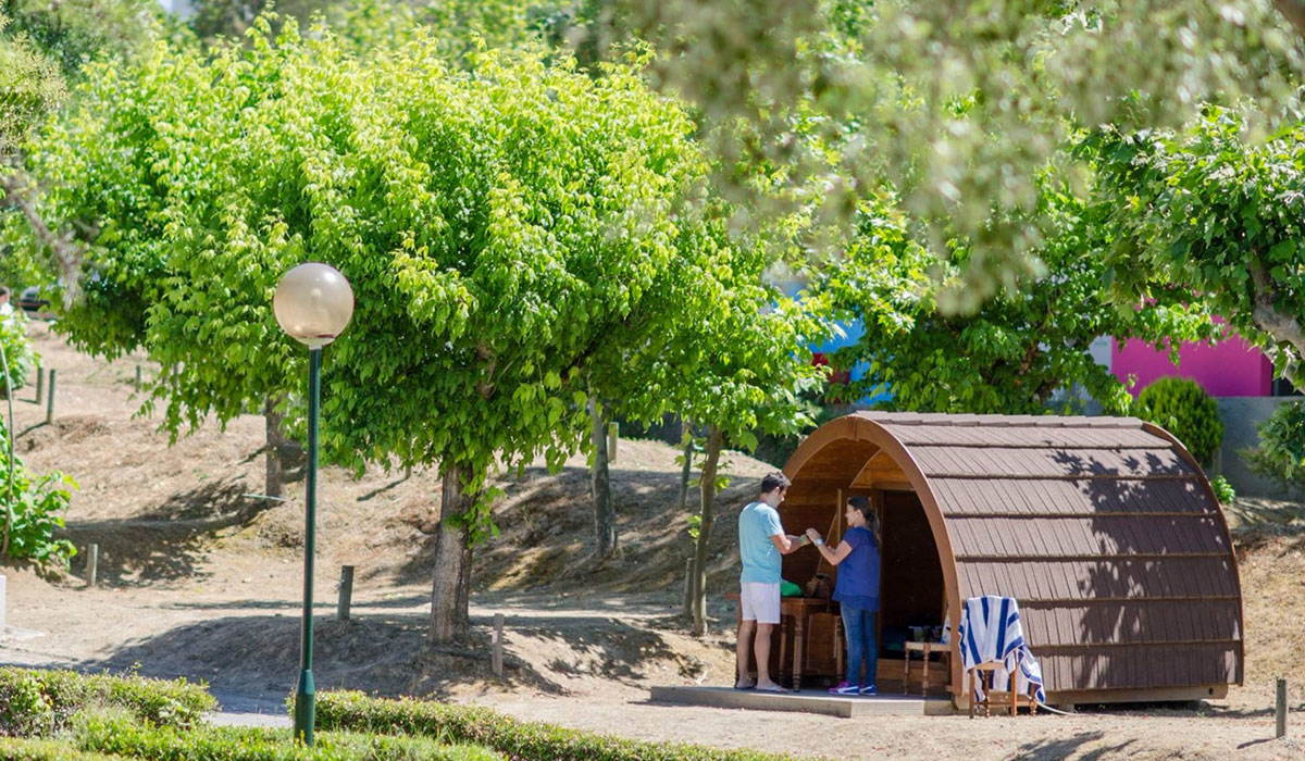 Municipal Idanha-a-Nova Centro - Idanha-a-Nova visuel 4/5