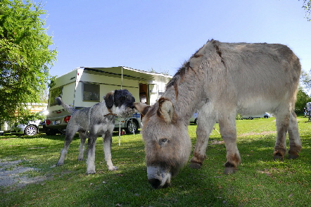 Märchencamping Bassa Sassonia - stuhr visuel 3/3 Märchencamping Bassa Sassonia - stuhr visuel 3/3