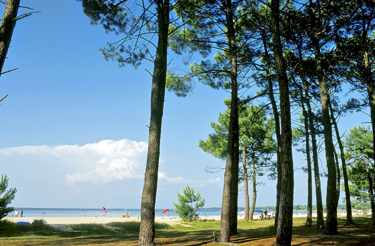 Campéole Navarrosse Plage Aquitania - Biscarrosse visuel 16/38 Campéole Navarrosse Plage Aquitania - Biscarrosse visuel 16/38