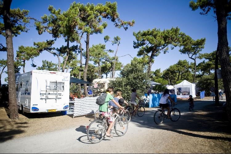 Noirmoutier Paesi della Loira - Noirmoutier-en-l'Île visuel 2/8