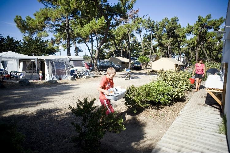 Noirmoutier Paesi della Loira - Noirmoutier-en-l'Île visuel 3/8