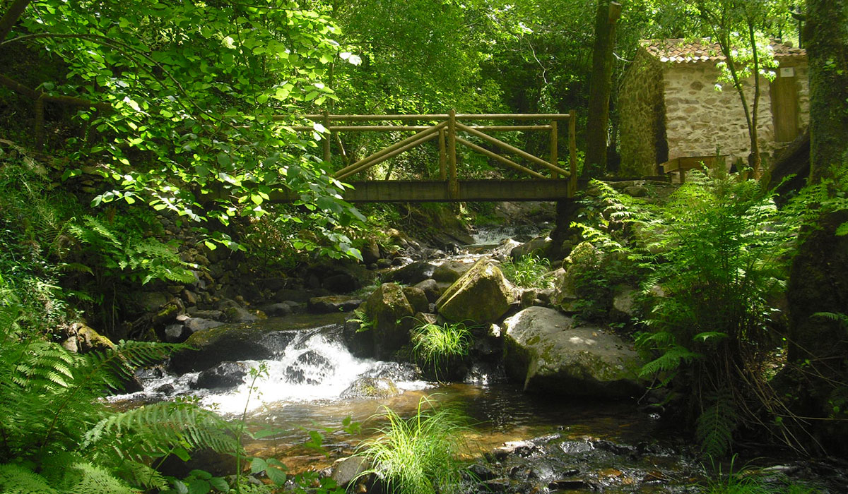 O Homem Verde Wildglamping Centro - Espinhal visuel 1/5