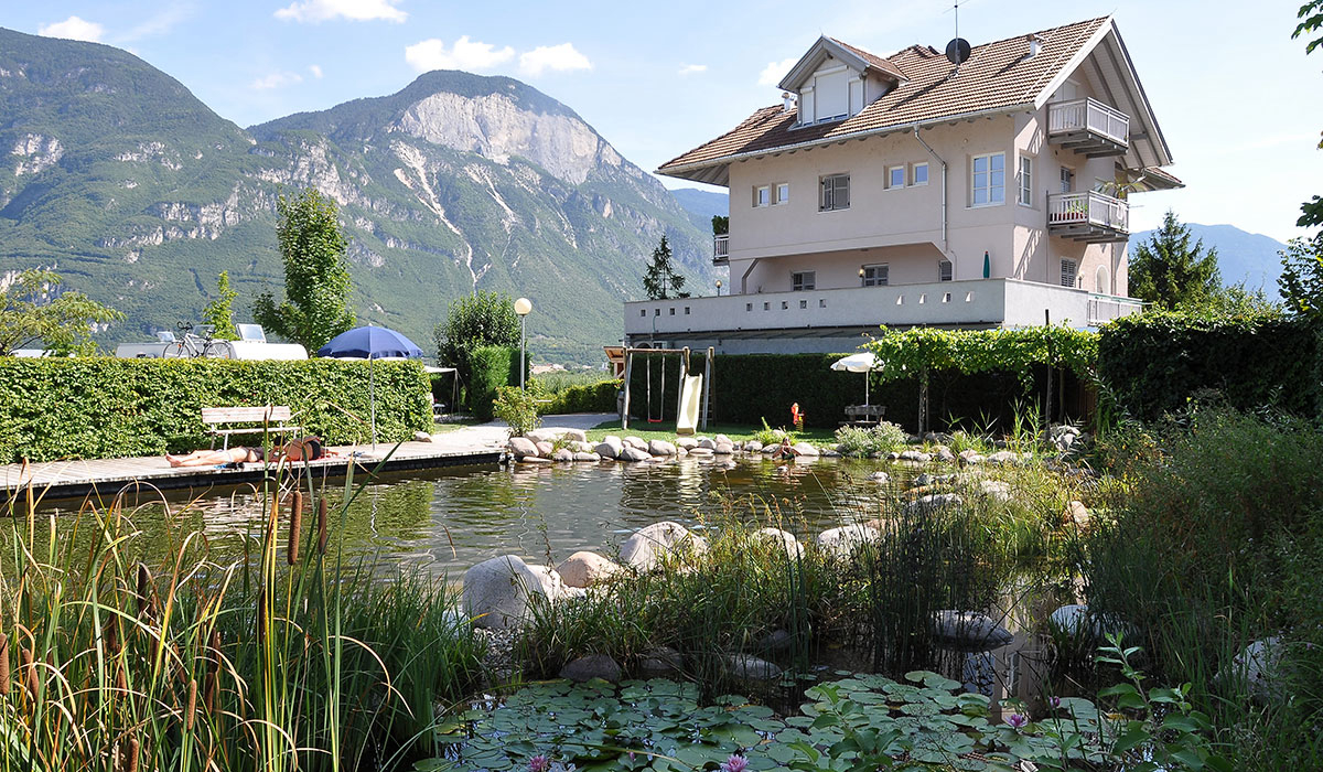Obstgarten Trentino-Alto Adige - Cortaccia sulla Strada del Vino visuel 1/1