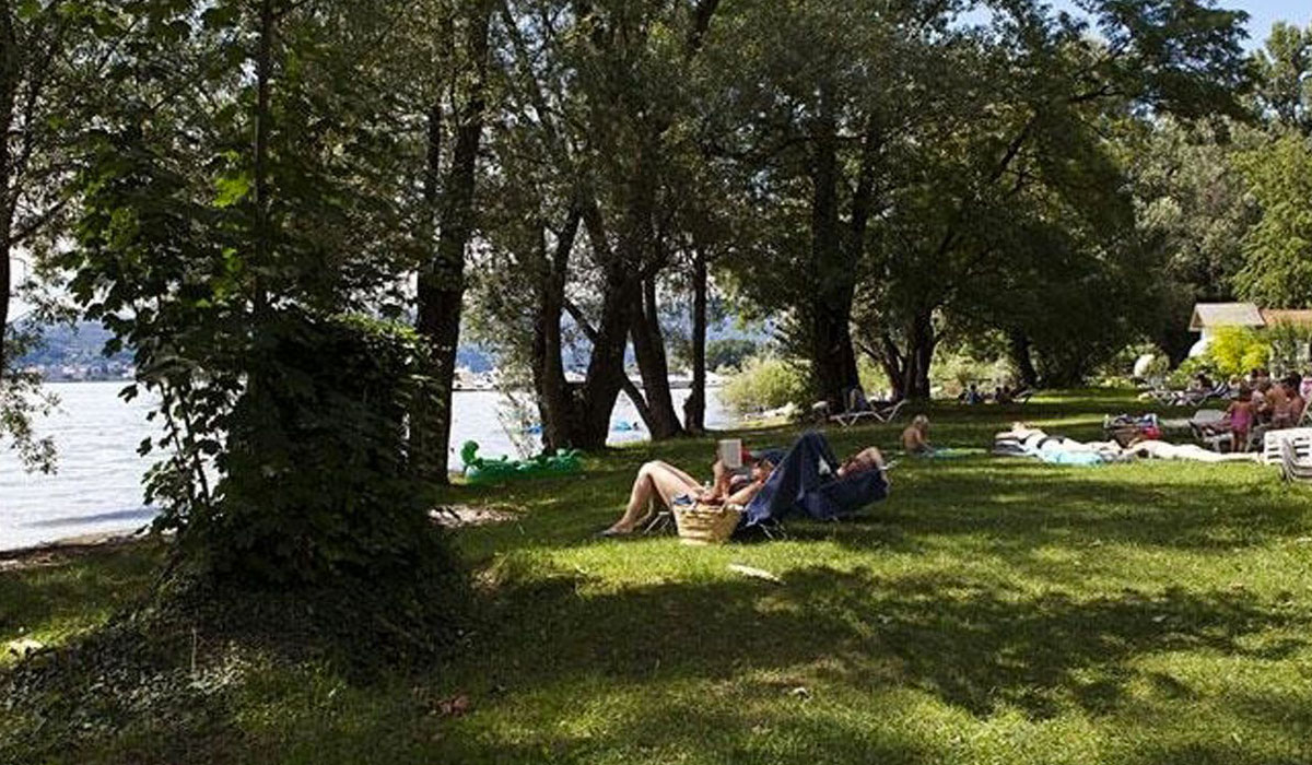 Okay Lombardia - Lisanza visuel 8/13