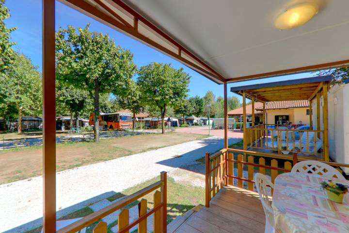 Orchidea Piemonte - Feriolo Baveno visuel 7/8