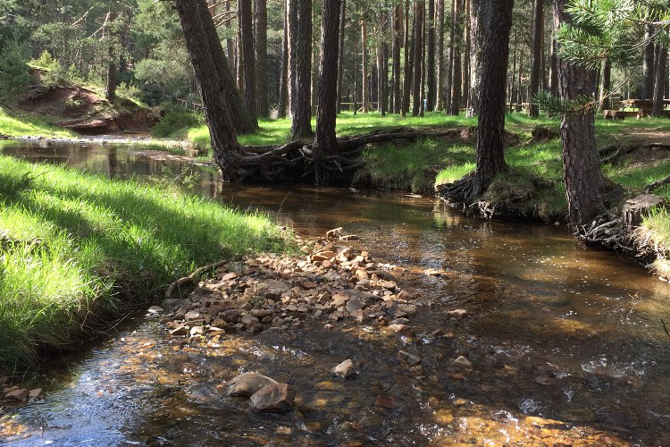 Orea Castiglia-La Mancia - Orea visuel 3/7