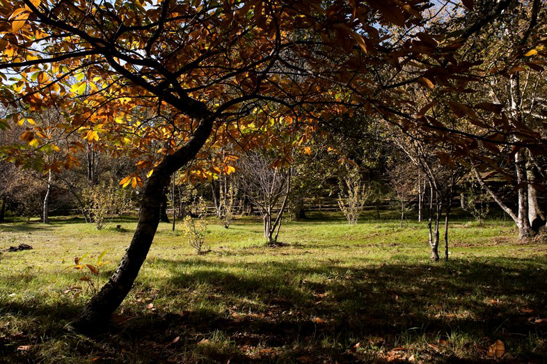 Parque de Cerdeira Nord  - Cerdeira visuel 3/4