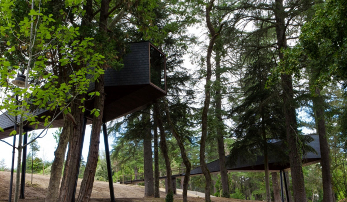 Pedras Salgadas Spa & Nature Park Nord  - Bornes de Aguiar visuel 2/6