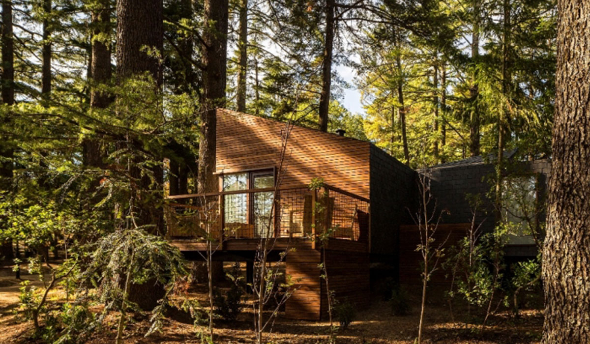 Pedras Salgadas Spa & Nature Park Nord  - Bornes de Aguiar visuel 6/6