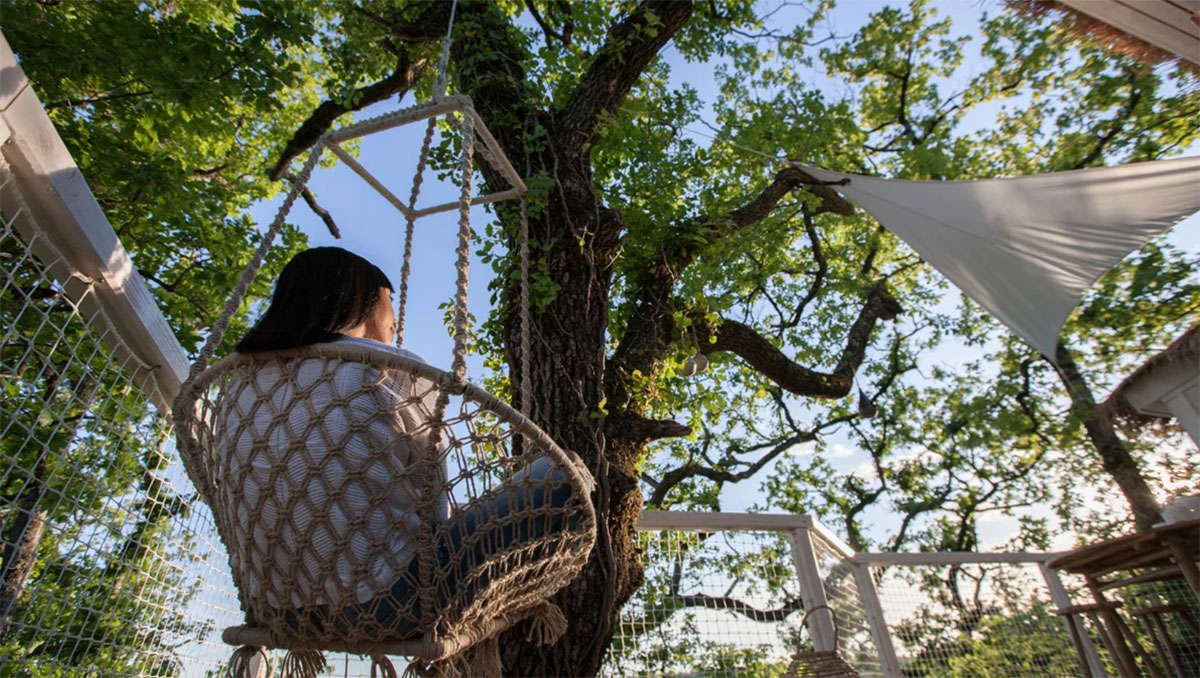 Domaine Pella Roca Aquitania - Labastide-de-Penne visuel 5/6