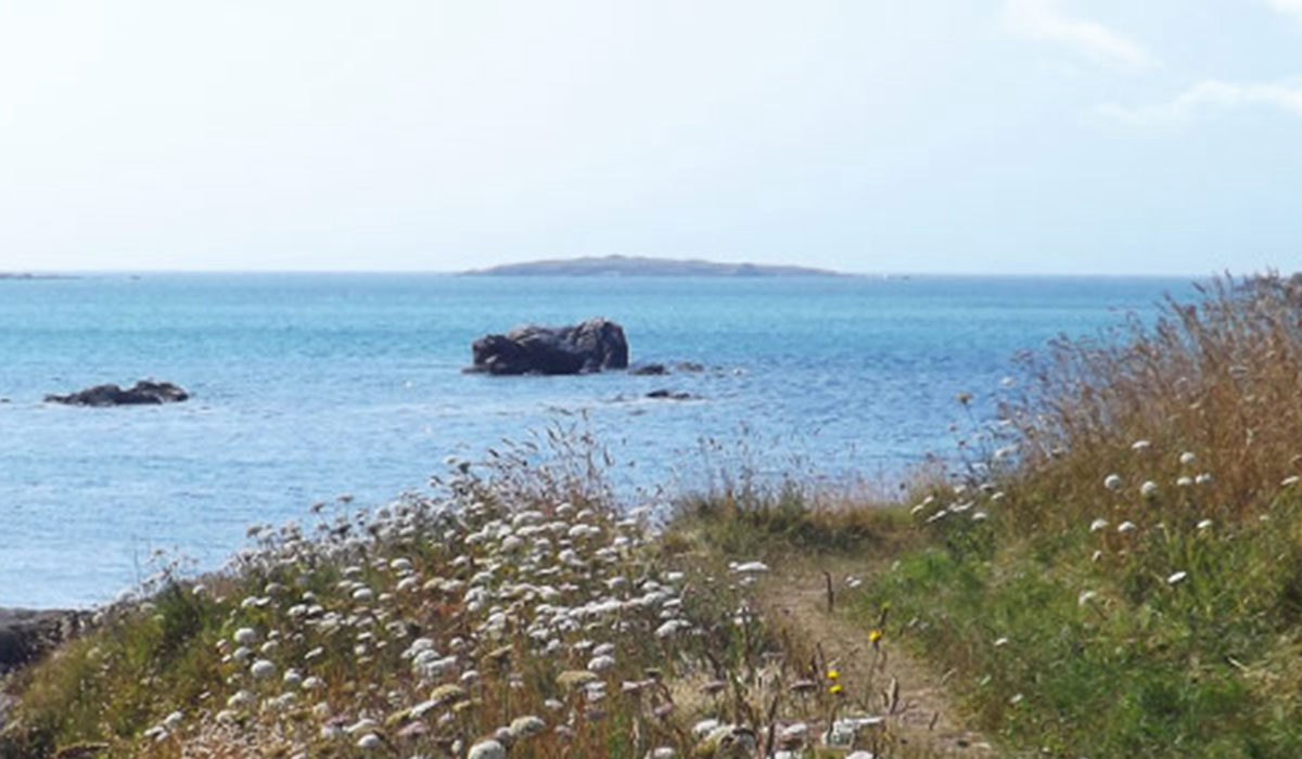 Penn-Enez Bretagna - Landéda visuel 1/2