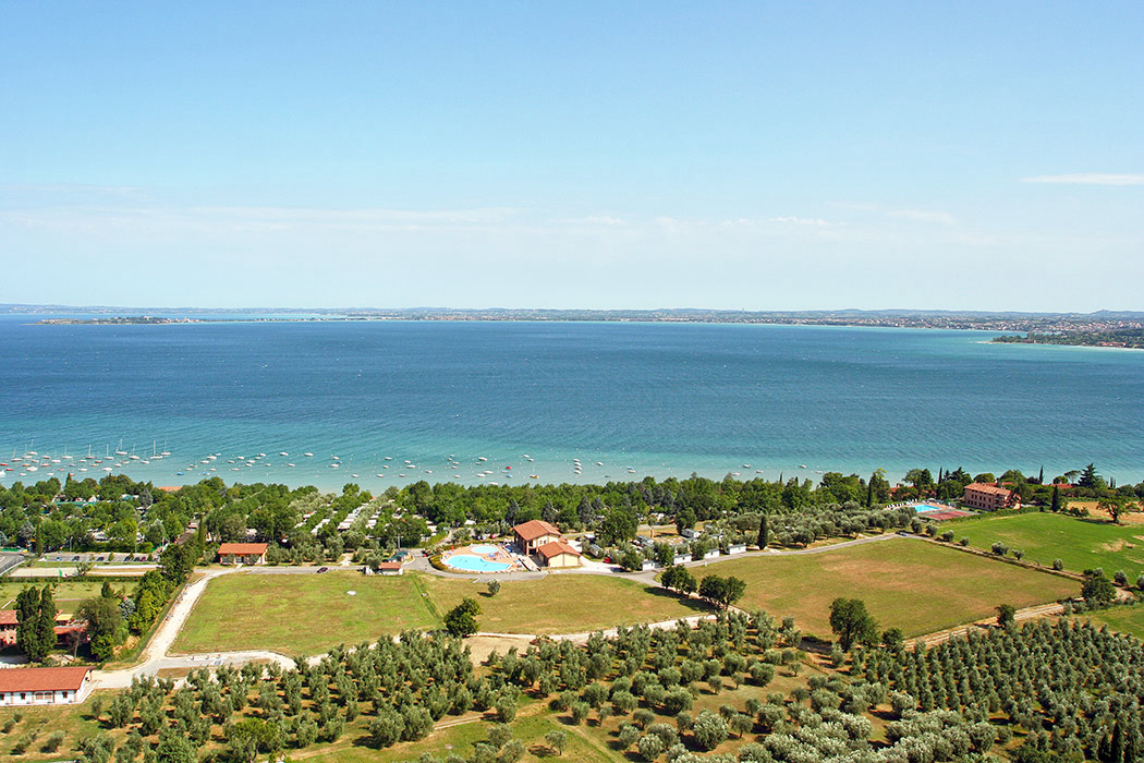 Piantelle Lombardia - Moniga del Garda visuel 1/7