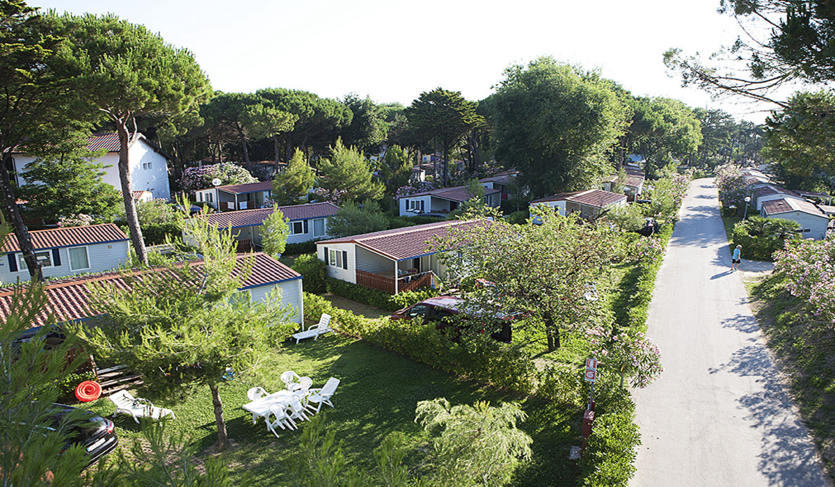 Pino Mare Friuli-Venezia Giulia - Lignano Sabbiadoro visuel 8/9