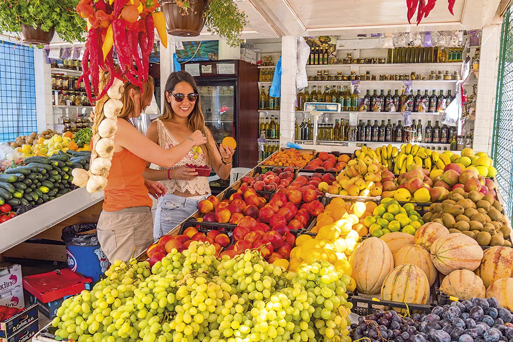 Polari Istria - Rovinj visuel 4/12