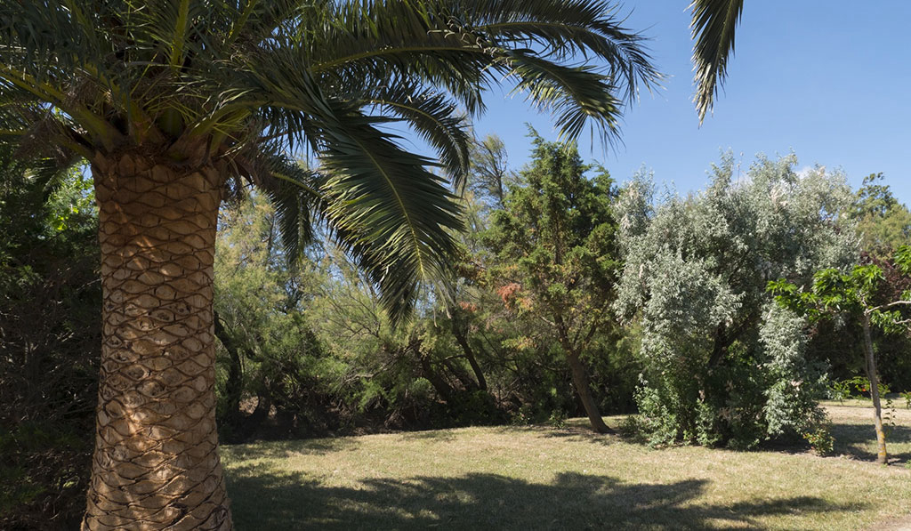 Pré Catalan Linguadoca-Rossiglione - Le Barcarès visuel 8/13