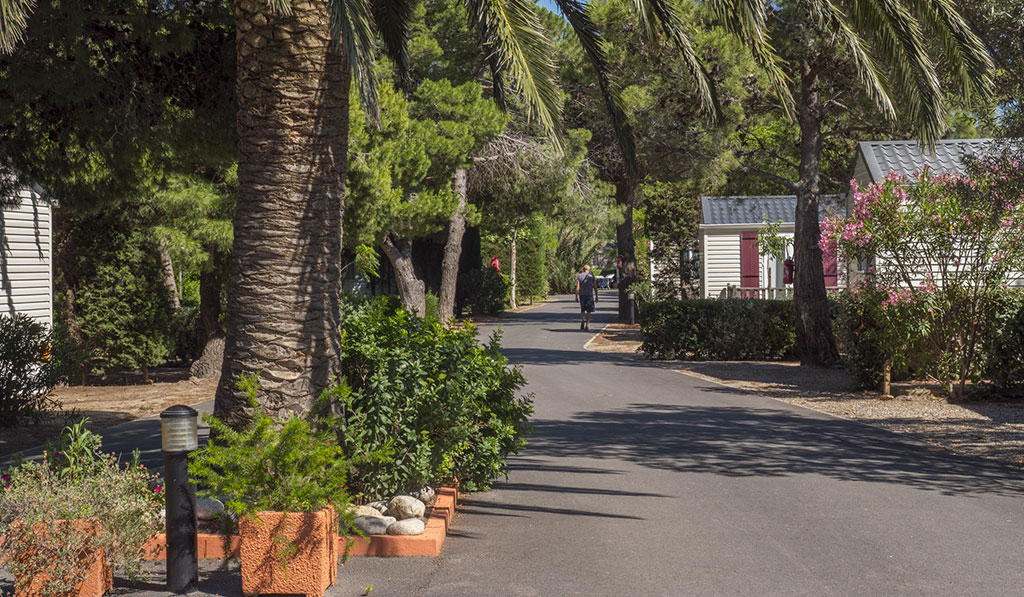 Pré Catalan Linguadoca-Rossiglione - Le Barcarès visuel 6/13
