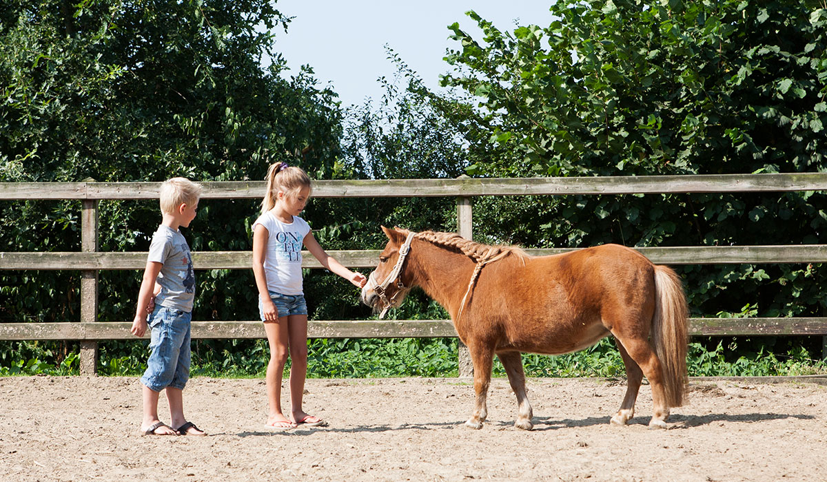 Recreatiepark De Boshoek Gheldria - voorthuizen visuel 6/6