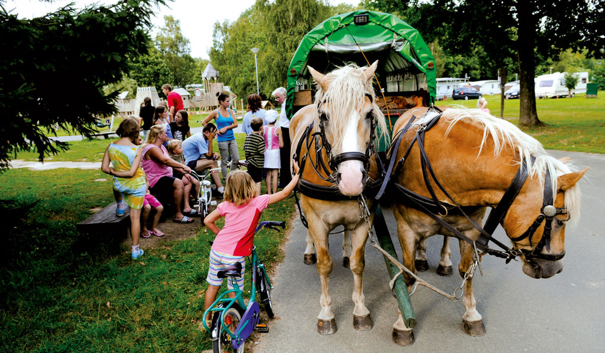 Regenbogen Tecklenburg Renania Settentrionale-Vestfalia - tecklenburg visuel 5/5 Regenbogen Tecklenburg Renania Settentrionale-Vestfalia - tecklenburg visuel 5/5