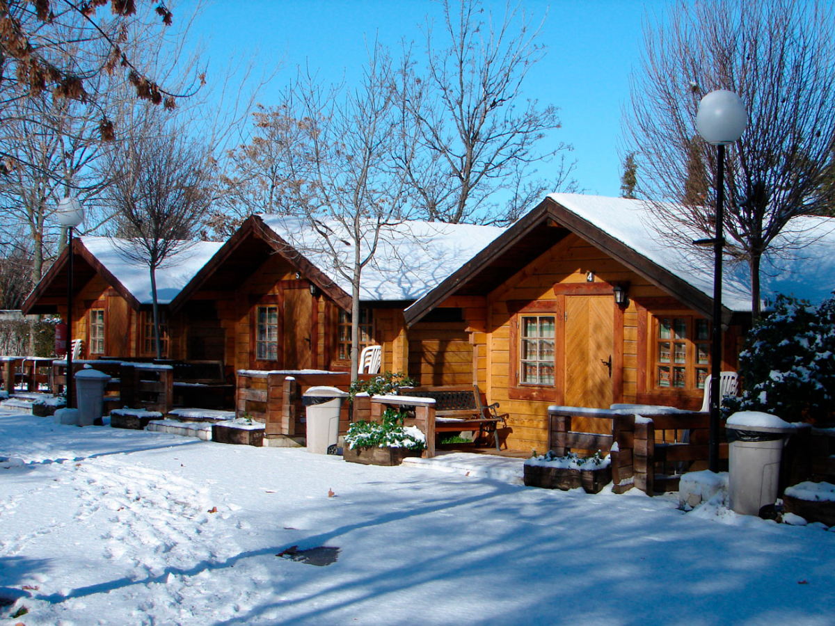 Reina Isabel Andalusia - La Zubia visuel 2/2