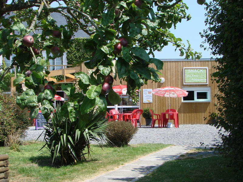 Reine Mathilde Bassa Normandia - Étreham visuel 7/12