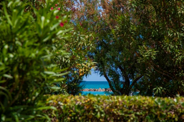 Residence Casabianca Marche - Porto San Giorgio visuel 2/7