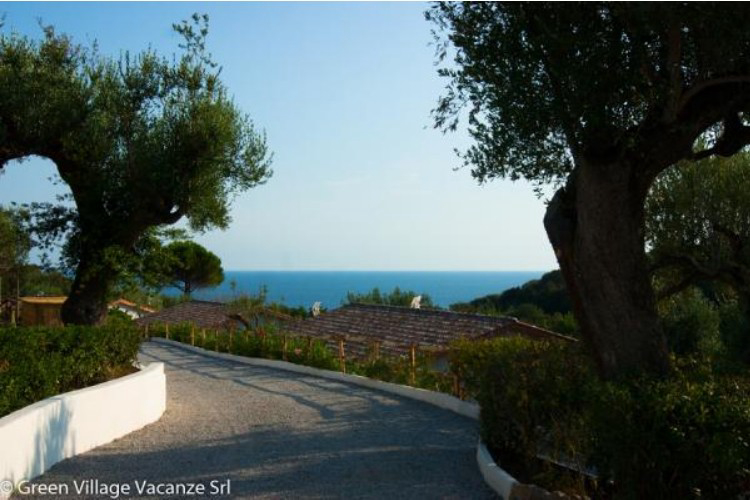 Résidence Green Village Campania - Camerota visuel 2/4