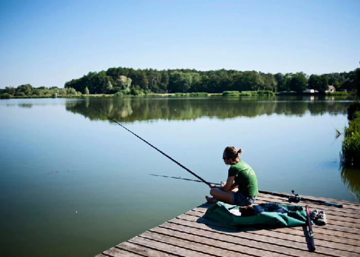 Rillé Centro-Valle della Loira - Rillé visuel 6/8 Rillé Centro-Valle della Loira - Rillé visuel 6/8