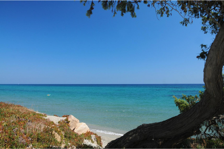 Riva Bella Domaine Naturiste - Corsica - Aléria visuel 2/9