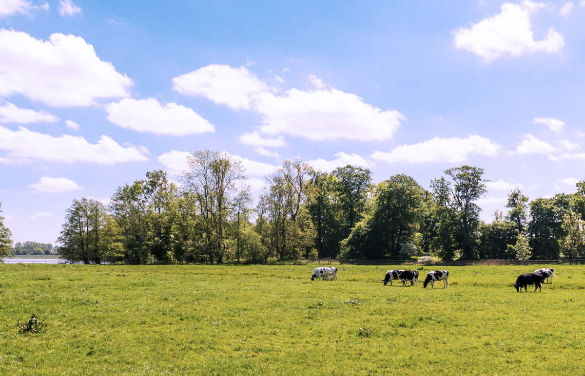 Rosenfelder Strand Ostsee Schleswig-Holstein - Grube visuel 2/3 Rosenfelder Strand Ostsee Schleswig-Holstein - Grube visuel 2/3