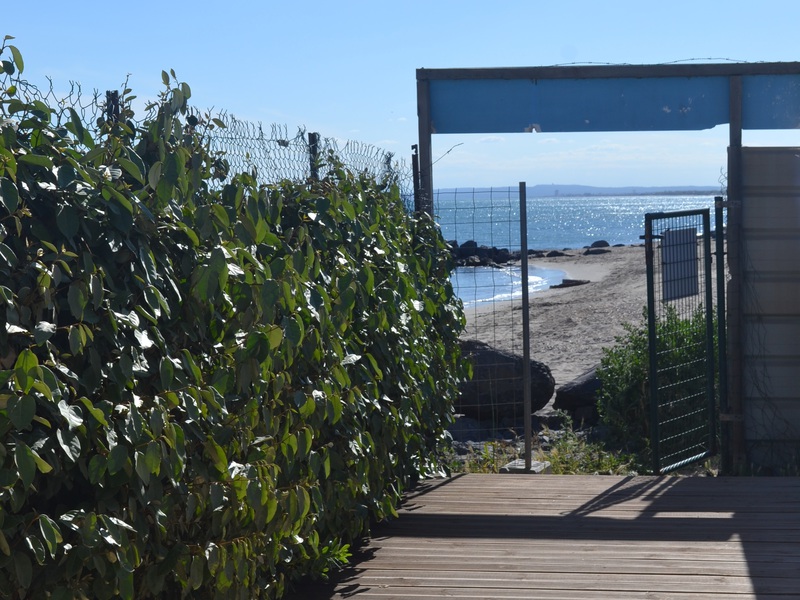 Roucan West Linguadoca-Rossiglione - Vias visuel 8/8 Roucan West Linguadoca-Rossiglione - Vias visuel 8/8