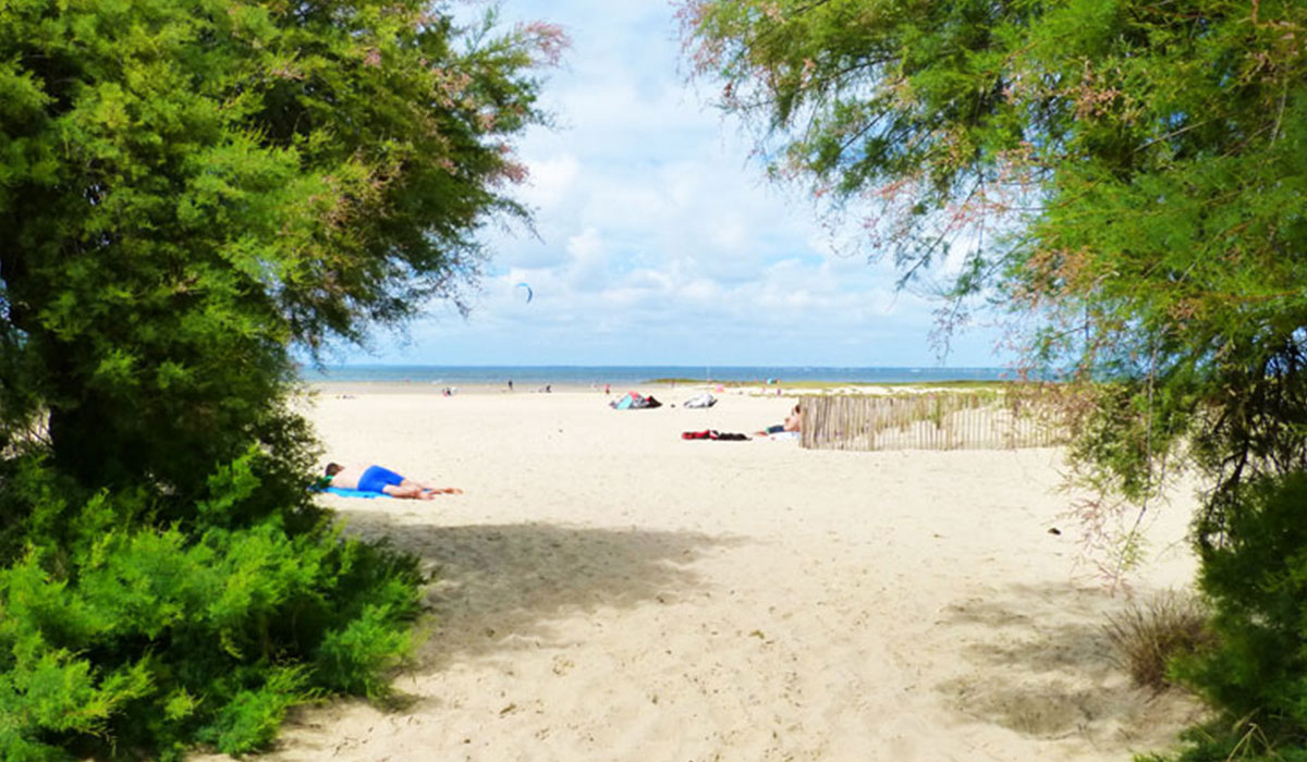 Routes du Monde ATC-La Hume Aquitania - Gujan-Mestras visuel 1/3 Routes du Monde ATC-La Hume Aquitania - Gujan-Mestras visuel 1/3