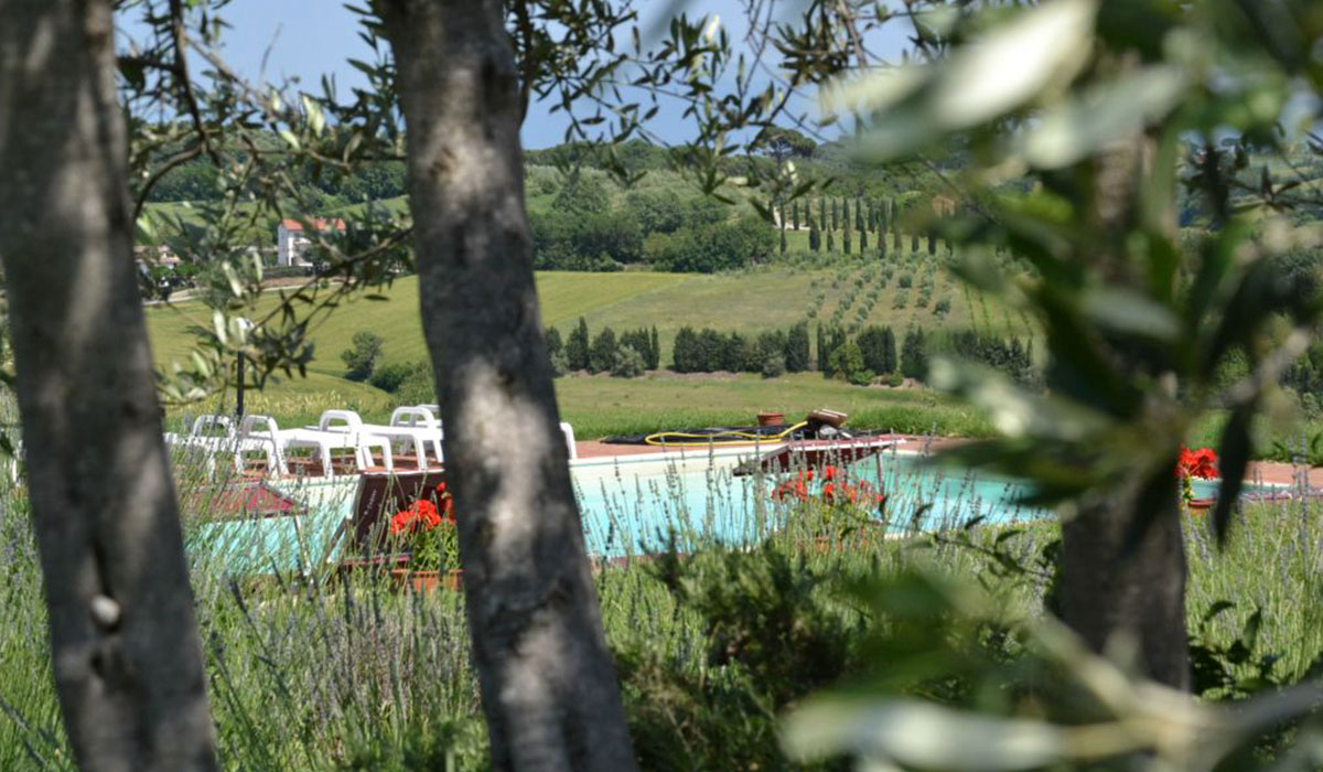 Rustic Campsite Umbria - Pérouse visuel 2/3