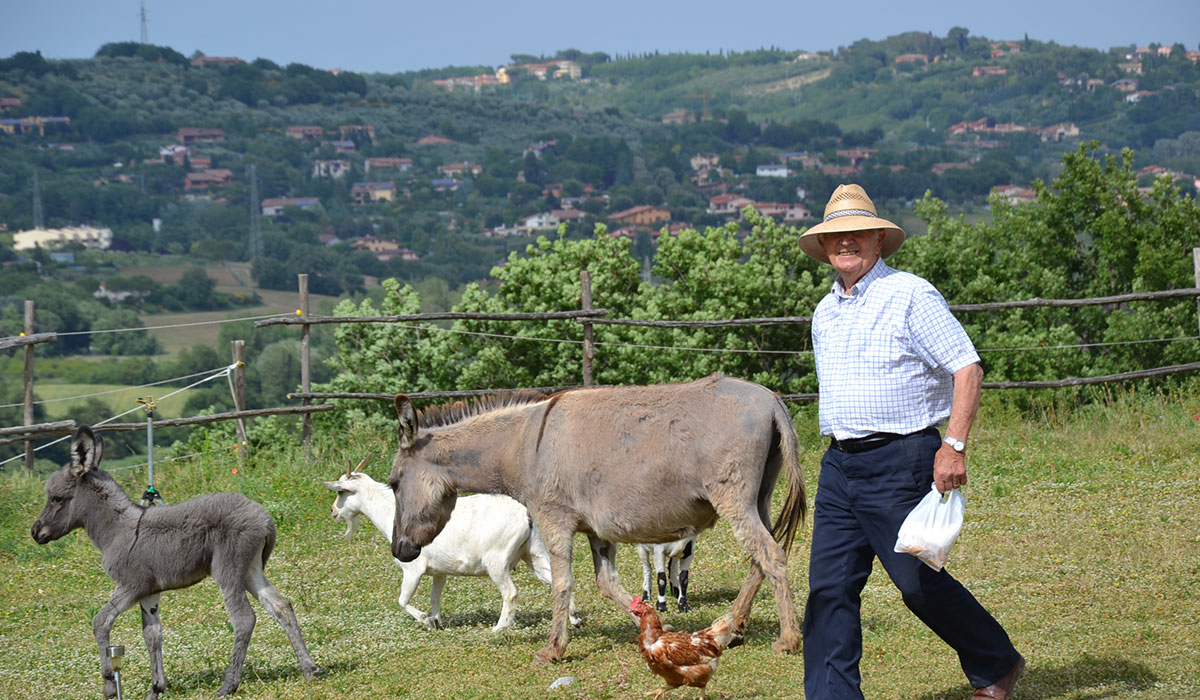 Rustic Campsite Umbria - Pérouse visuel 3/3